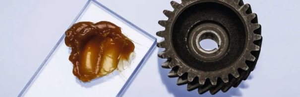 135243_998326_gsdt.jpg 25.JPG