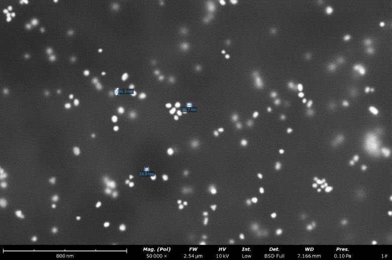 151151_007627_jswz.jpg 151151_007627_jswz.jpg