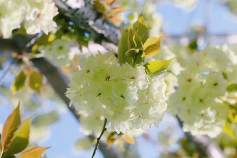 151102_183531_jswz.jpg 151102_183531_jswz.jpg