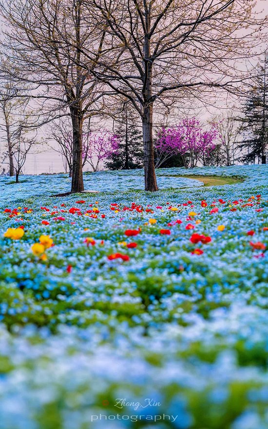 151212_501444_jswz.png 辰山.PNG