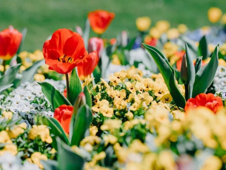 151313_289958_jswz.jpg 151313_289958_jswz.jpg