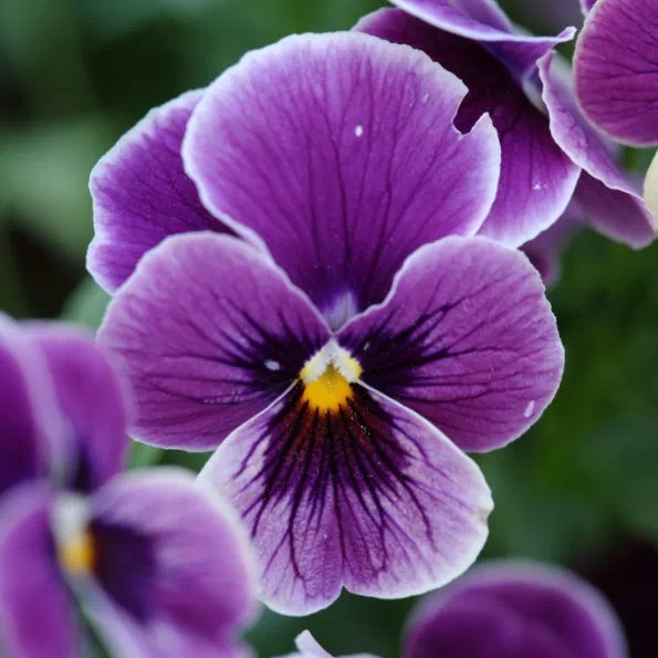 151353_343003_jswz.png 151353_343003_jswz.png