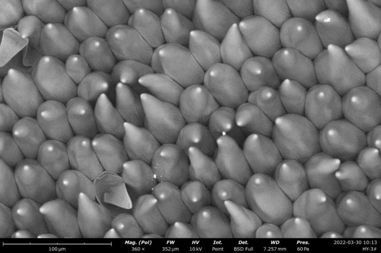 151500_453709_jswz.jpg 151500_453709_jswz.jpg