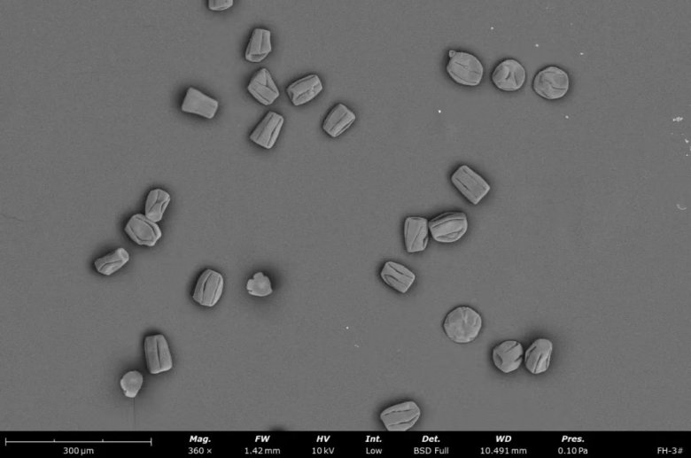 151523_485873_jswz.jpg 151523_485873_jswz.jpg