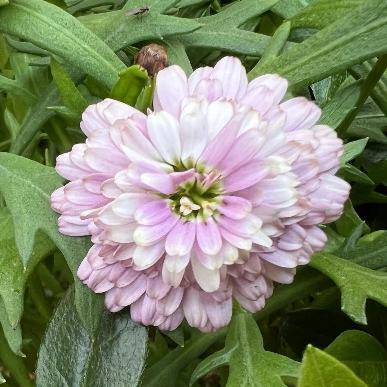 151546_056677_jswz.png 151546_056677_jswz.png