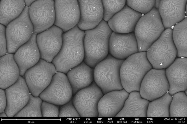 151606_808007_jswz.jpg 151606_808007_jswz.jpg