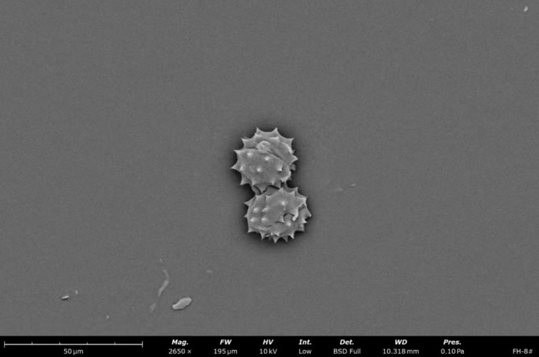 151628_535039_jswz.jpg 151628_535039_jswz.jpg