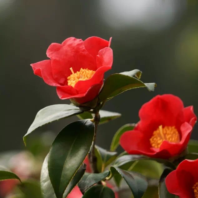 151647_129665_jswz.png 151647_129665_jswz.png