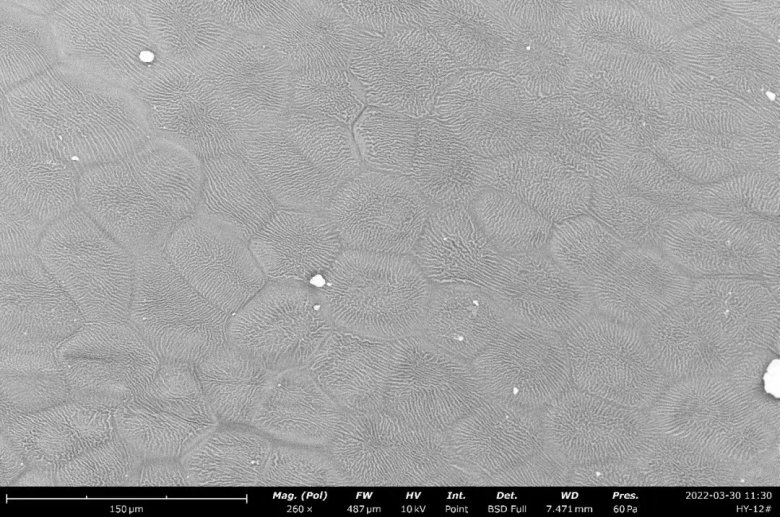 151708_628240_jswz.jpg 151708_628240_jswz.jpg