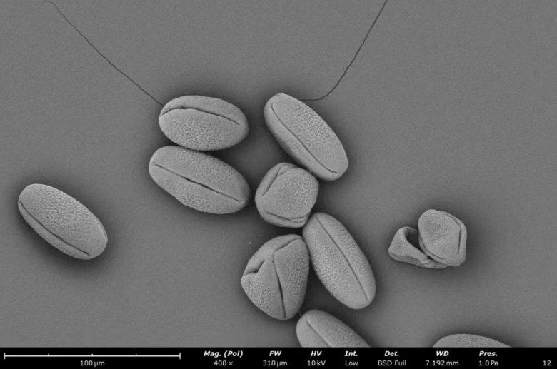 151730_109160_jswz.jpg 151730_109160_jswz.jpg