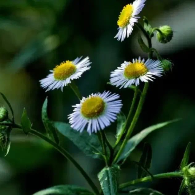 151749_552570_jswz.png 151749_552570_jswz.png