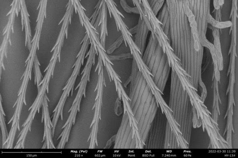 151831_621139_jswz.jpg 151831_621139_jswz.jpg