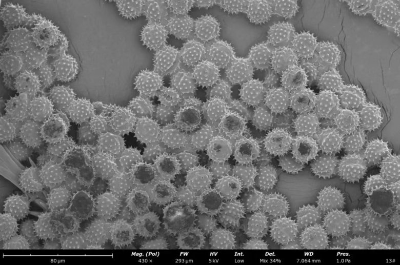 151857_820541_jswz.jpg 151857_820541_jswz.jpg