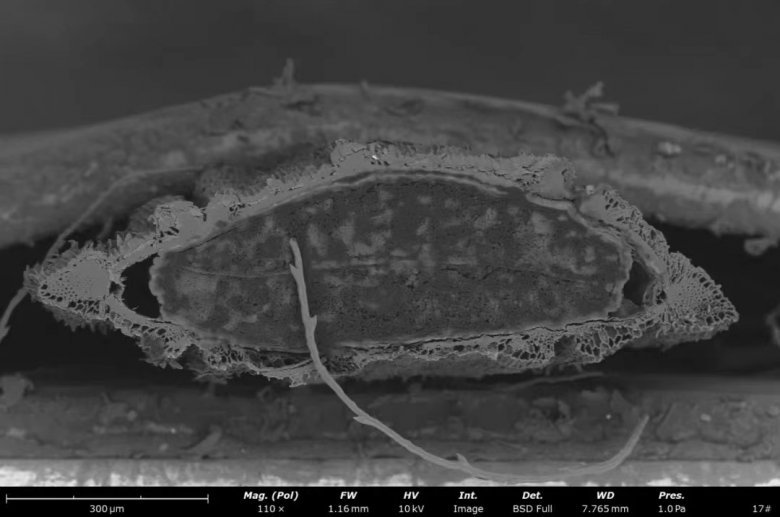 151940_322712_jswz.jpg 151940_322712_jswz.jpg