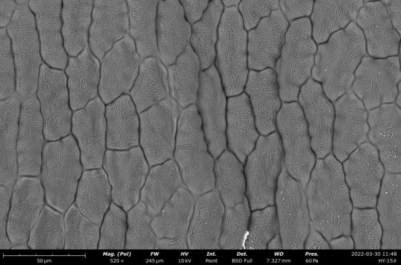 152039_729851_jswz.jpg 152039_729851_jswz.jpg