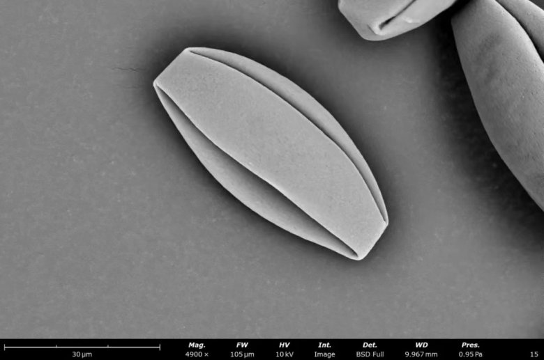 152106_588110_jswz.jpeg 152106_588110_jswz.jpeg