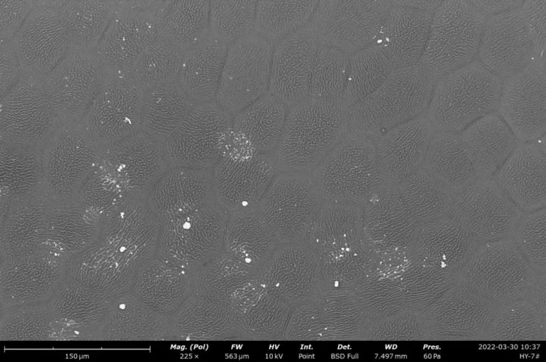 152155_596953_jswz.jpg 152155_596953_jswz.jpg