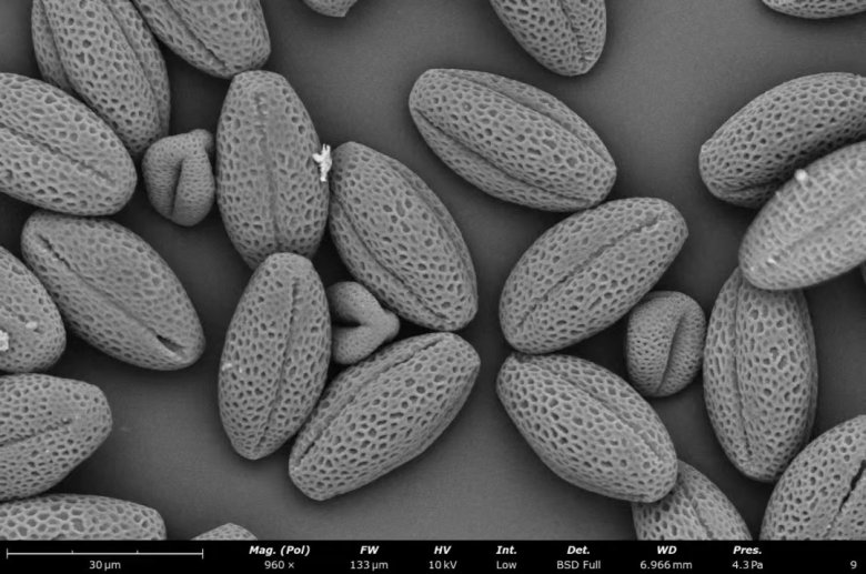 152216_657134_jswz.jpg 152216_657134_jswz.jpg