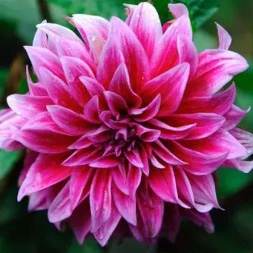 152242_983257_jswz.png 152242_983257_jswz.png