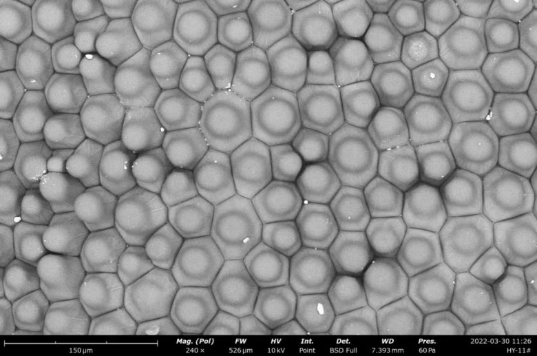 152322_328282_jswz.jpg 152322_328282_jswz.jpg