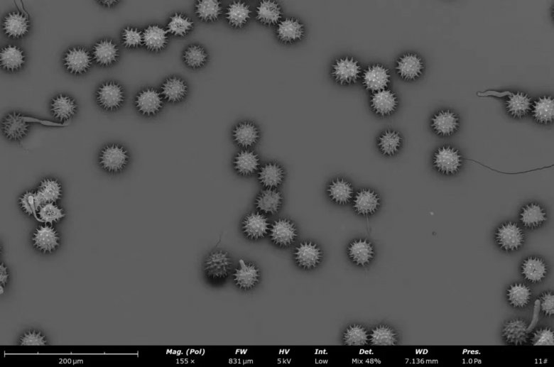 152342_747036_jswz.jpg 152342_747036_jswz.jpg