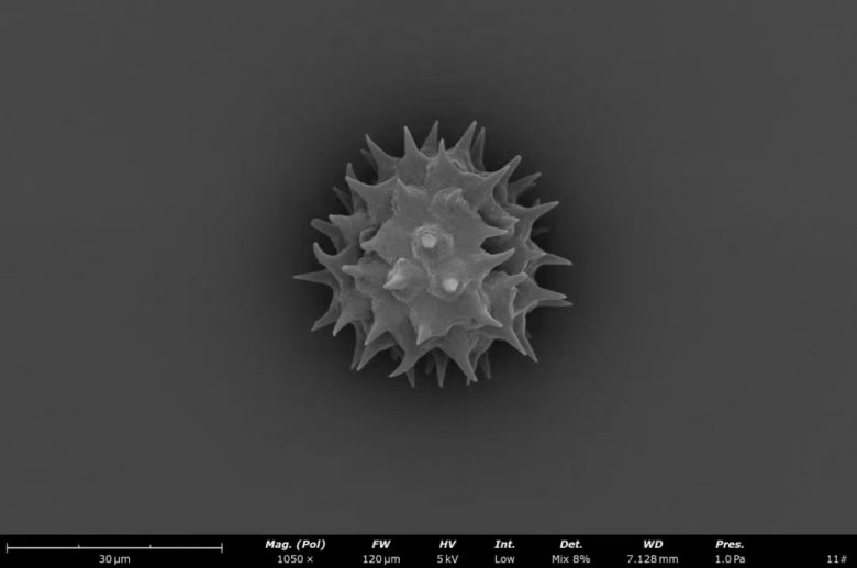 152358_906745_jswz.jpg 152358_906745_jswz.jpg