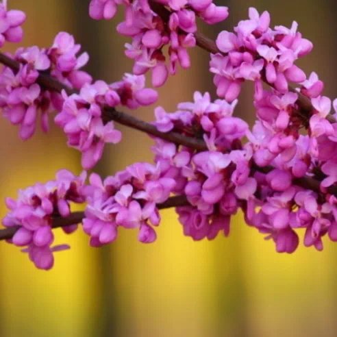 152423_522948_jswz.png 152423_522948_jswz.png