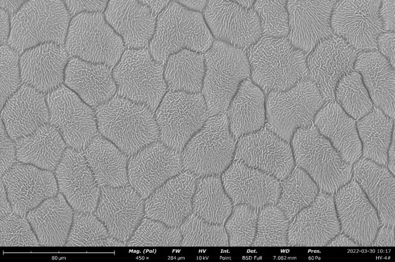 152453_826706_jswz.jpg 152453_826706_jswz.jpg