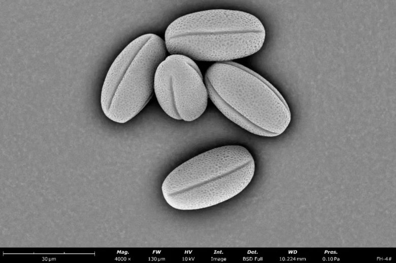 152514_115610_jswz.jpg 152514_115610_jswz.jpg