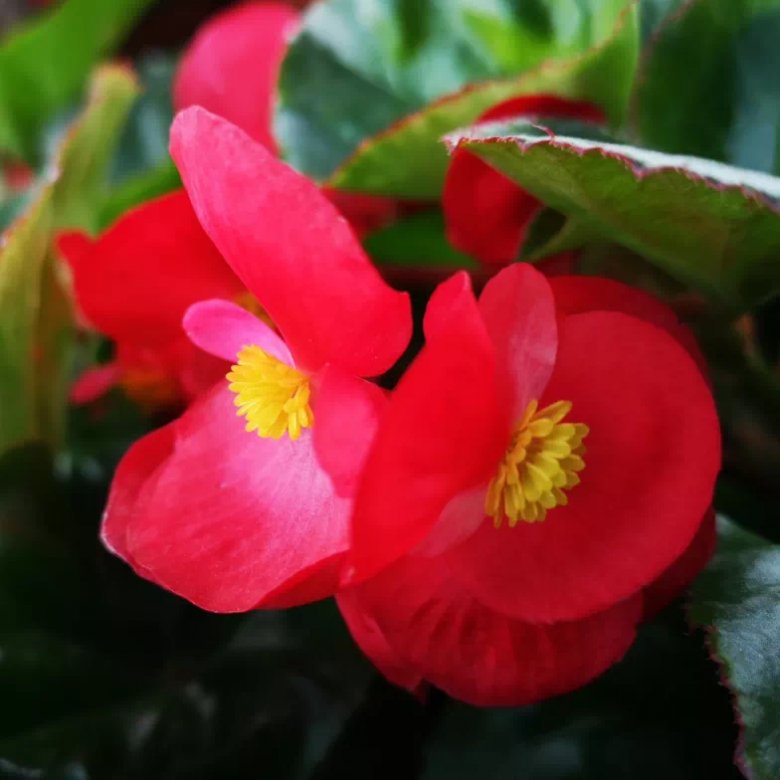 152612_040237_jswz.png 152612_040237_jswz.png