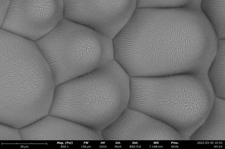 152641_775970_jswz.jpg 152641_775970_jswz.jpg