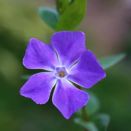 152705_738204_jswz.png 152705_738204_jswz.png