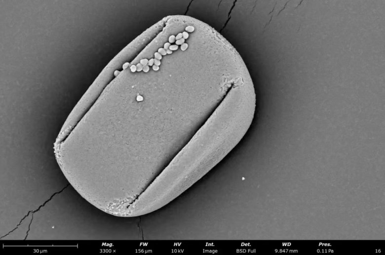 152728_794153_jswz.jpg 152728_794153_jswz.jpg