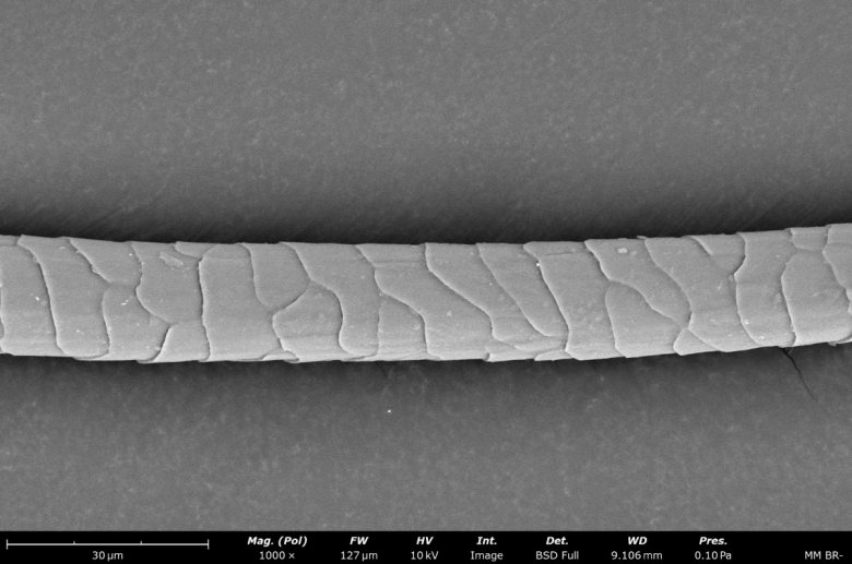 110057_206604_jswz.jpeg 110057_206604_jswz.jpeg