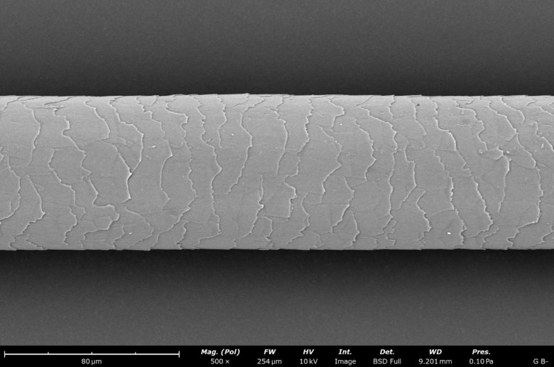 110322_145800_jswz.jpeg 110322_145800_jswz.jpeg