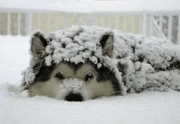 110401_598548_jswz.png 110401_598548_jswz.png