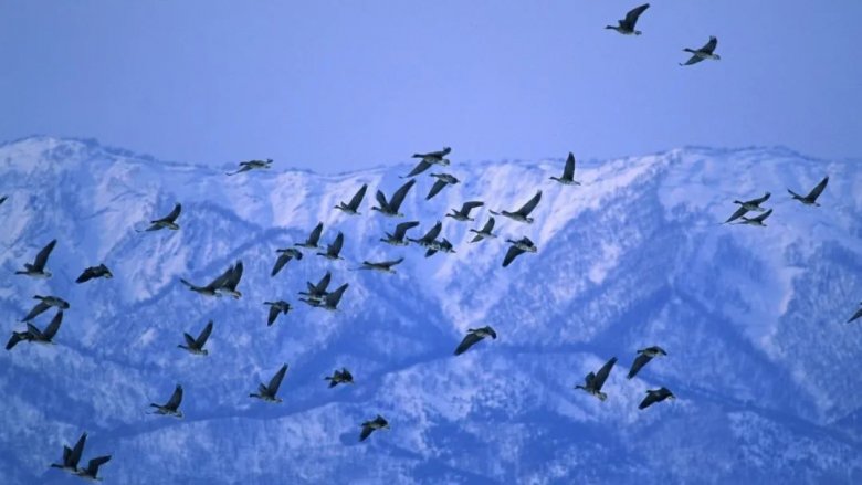 150816_885214_gsdt.jpg 8-8.jpg