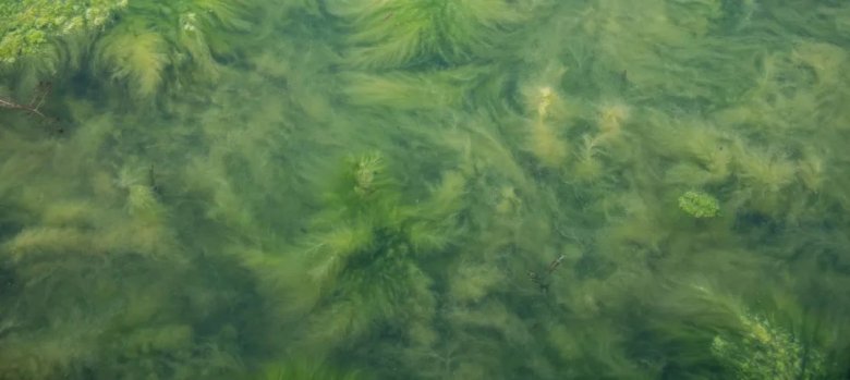 1662011910308579.jpg 譜育科技