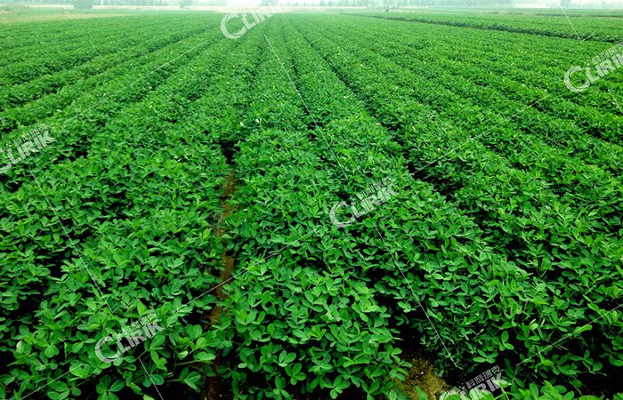 104721_073776_gsdt.png 微信圖片_20220909102735.png