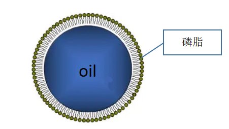 094054_499135_jswz.png 微信圖片_20220915093841.png