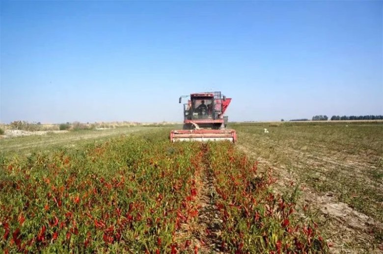 102544_498111_gsdt.jpeg 102544_498111_gsdt.jpeg