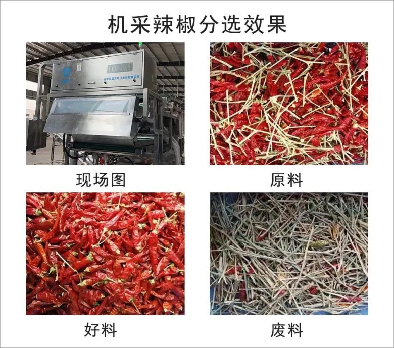 102618_890712_gsdt.jpeg 102618_890712_gsdt.jpeg