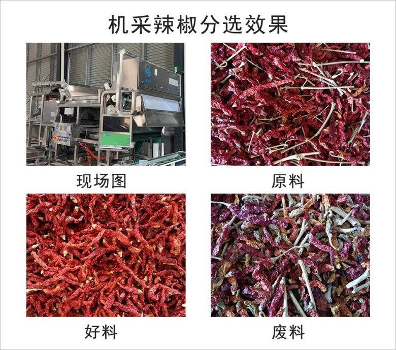 102646_607657_gsdt.jpeg 102646_607657_gsdt.jpeg