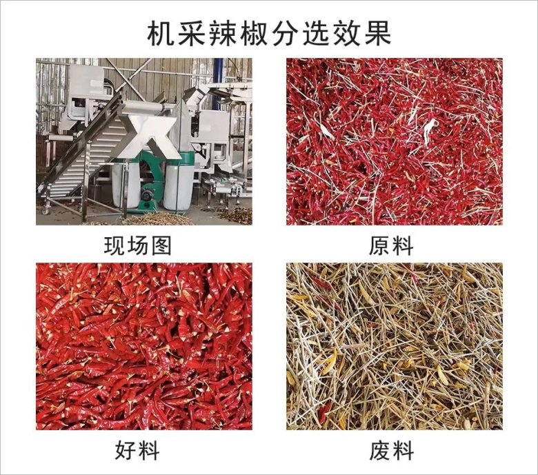 102716_346450_gsdt.jpeg 102716_346450_gsdt.jpeg