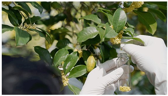 092137_776331_gsdt.png image.png