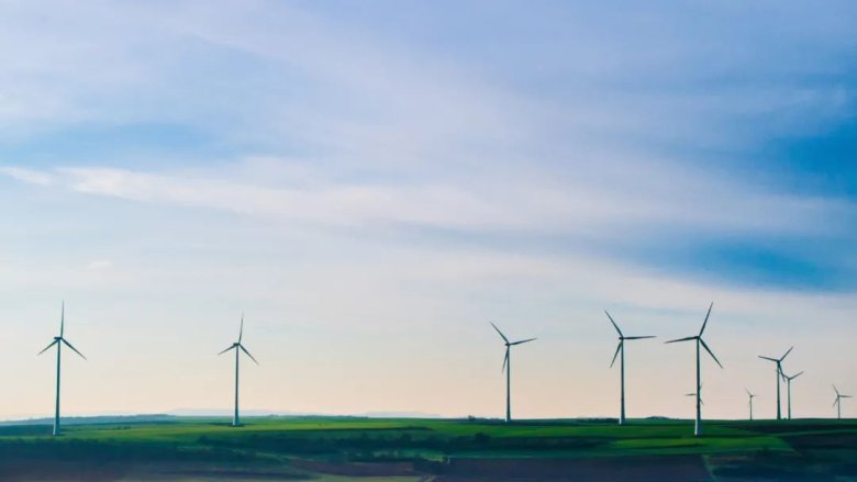 160256_388583_gsdt.jpg 5.jpg