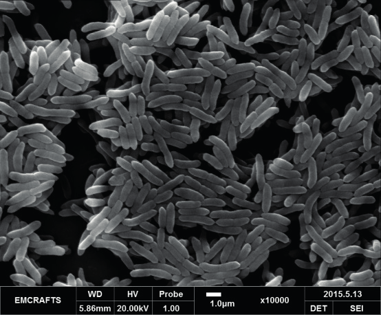 1621328059287968.png QQ圖片20210518153138.png