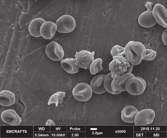 1621328075110982.png QQ圖片20210518153147.png