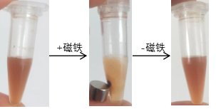 122632_748124_jswz.png 微信圖片_20221117122413.png