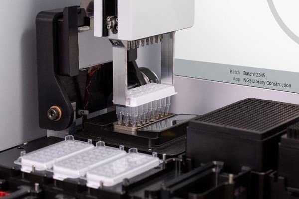 162719_133384_gsdt.jpg 3.jpg